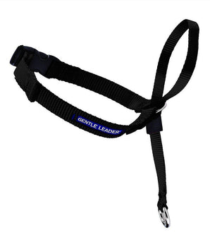 PetSafe Premier Gentle Leader Quick Release Headcollar Dog Supply-Le Pup Pet Supplies and Grooming