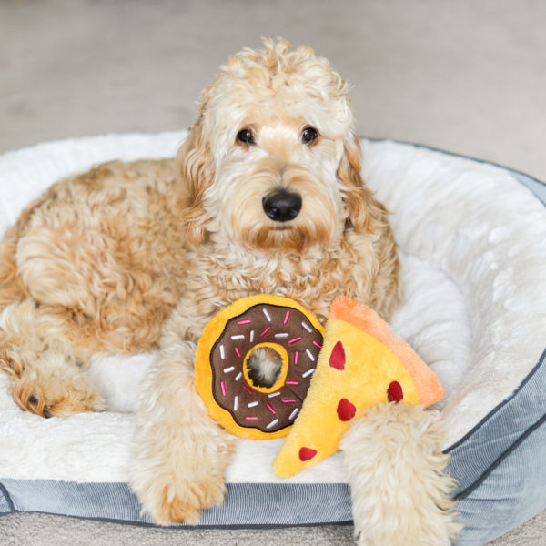 ZippyPaws Donutz Chocolate Dog Toy-Le Pup Pet Supplies and Grooming