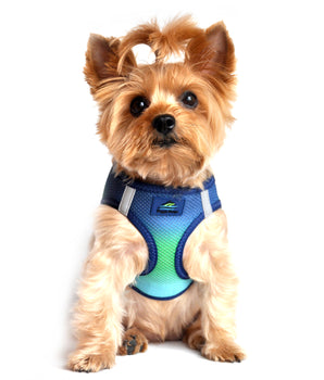Doggie Design American River Choke Free Ombre Collection Dog Harness, select-Le Pup Pet Supplies and Grooming