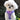 Doggie Design American River Choke Free Paisley Polka Dot Dog Harness, select-Le Pup Pet Supplies and Grooming
