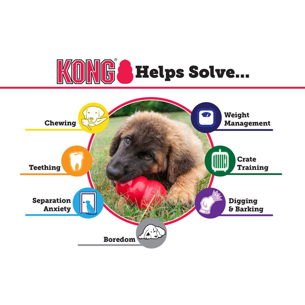 Kong Classic Dog Toy-Le Pup Pet Supplies and Grooming