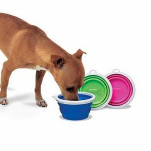 Bamboo Home Collapsible Travel Bowl for Dogs and Cats Supply, random color-Le Pup Pet Supplies and Grooming